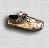 Canvas Shoe