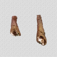 Infants Milk Teeth