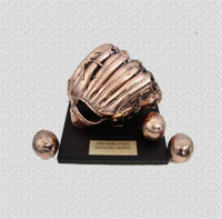 Cricket glove & balls