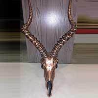 Other animal