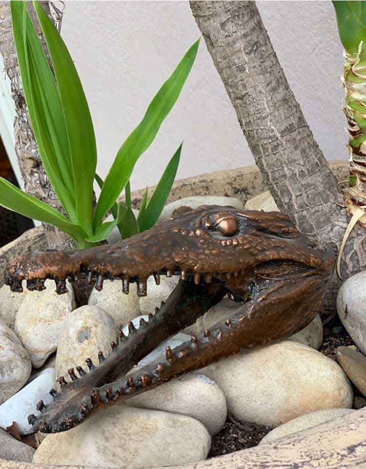 other crocodile
