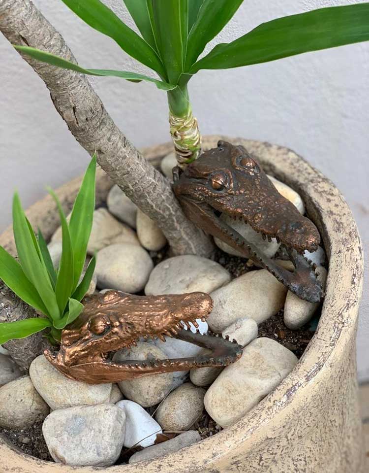 other shiny-and-antique-crocodiles